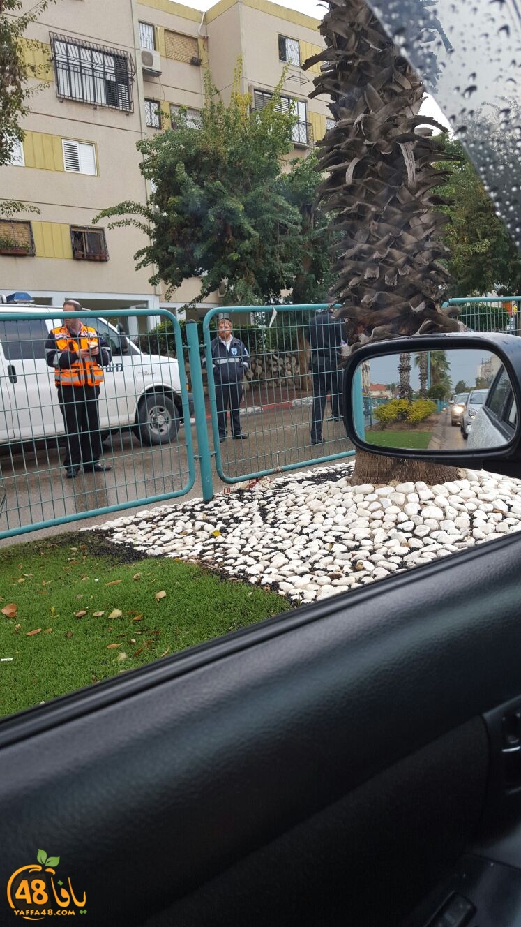 ta3n ramlajs (8).jpg